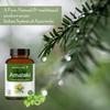 Herb Essential Amalaki (Indian Gooseberry) 500mg, 60 Tablets | Detoxifies Body | Rich In Vitamin C | Boosts Immunity | Improves Digestion (Pack of 1) view 3