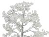 S.L Enterprises Metal And Wood Crystal Rough Gemstone Tree Feng Shui Decor, Standard, White, 1 Piece view 2