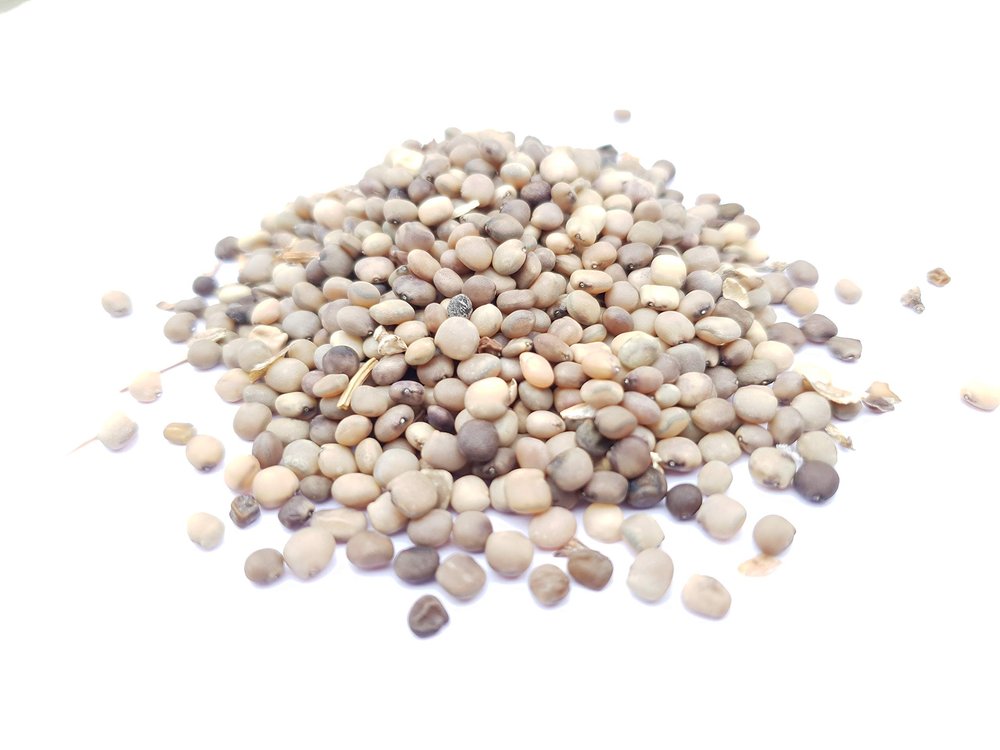 SriSatymev Cluster Beans (Guwar) Seeds 100g