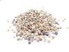 SriSatymev Cluster Beans (Guwar) Seeds 100g view 1