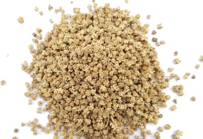 SriSatymev Palak Seeds 100g