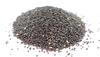 SriSatymev Lasaag Seeds 100g view 1