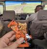 Mojo Bar Energy Bars Orange Dark Chocolate & Vitamin C | 100% Whole Grains, Nut & Fruit | High Energy & Granola Bars | Pack of 6 x 32g Energy Bars | Gluten Free & No Preservatives view 4