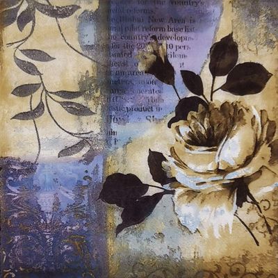 Colored Paper Napkins, 20 Count Shabby Chic Napkins for Wedding, Dinner Tea Party Shower (Magpie)