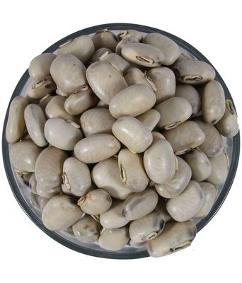 Sky Life Krounch Beej - 200Grm - Mucuna Pruriens - Kaunch Seed - White Konch Beej - Kronch Beej - Kapikachhu - Cowitch - Konch Beej Safed - Safed Kaunch Beej - Koch Beej