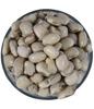 Sky Life Krounch Beej - 200Grm - Mucuna Pruriens - Kaunch Seed - White Konch Beej - Kronch Beej - Kapikachhu - Cowitch - Konch Beej Safed - Safed Kaunch Beej - Koch Beej view 1