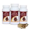 Tansukh Punarnava Powder, Boerhavia Diffusa Powder | 100g x 3 pack | Ayurvedic Remedy for Kidney & Urinary Wellness view 1