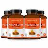 Herb Essential Papaya Leaf Tablets, 500Mg Tablet, 240 Tablets | 100% Natural Extracts view 1