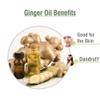100% Natural Pure Undiluted Uncut Essential Oil 15ml view 3