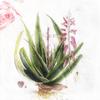 Colored Paper Napkins, 20 Count Shabby Chic Napkins for Wedding, Dinner Tea Party Shower (Guatemala Plants I) view 3