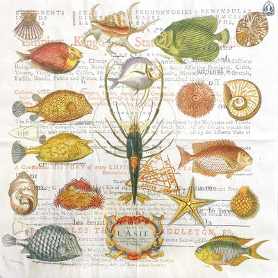 Colored Paper Napkins, 20 Count Shabby Chic Napkins for Wedding, Dinner Tea Party Shower (Marine Organism)