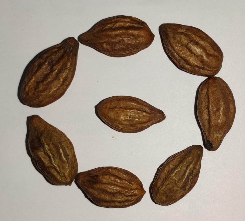 Harad Badi - Yellow Harad badi - Harad Pili - Harad Pili Badi - Harad Badi Pili - Aralu - Inknut - Haritaki - Kadukkai - Harar - Terminalia Chebula - Karakkaya -   (400Grm)