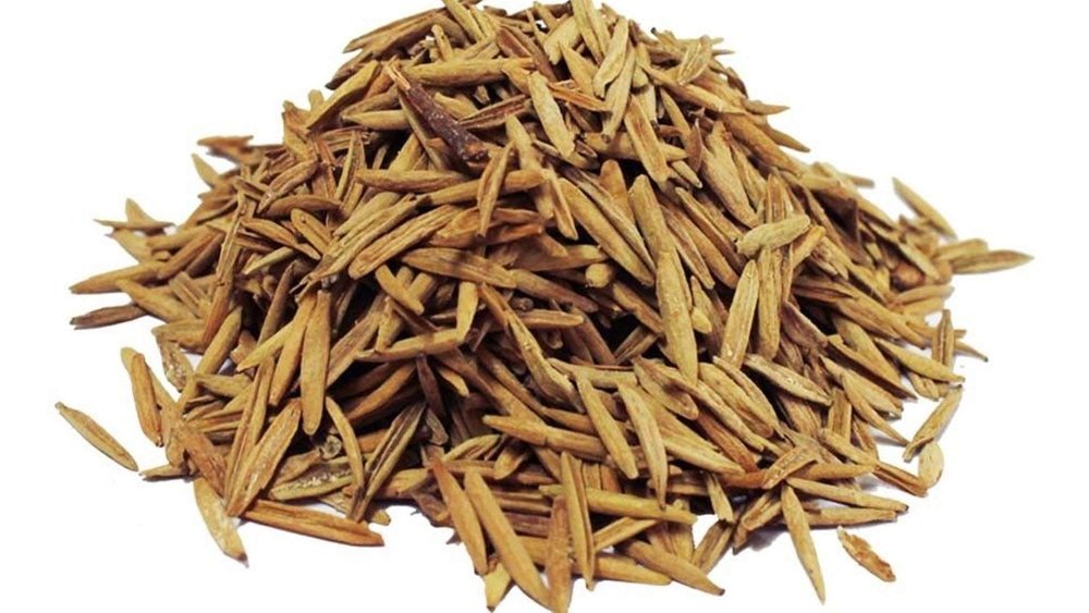 Herboleaf Organic Indrajau Kadwa| Holarrhena Pubescens | Indrajao | Inderjo | Kadwa Inderjo | Inderjav Talkh (100 Gram)