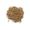Herboleaf Organic Indrajau Kadwa| Holarrhena Pubescens | Indrajao | Inderjo | Kadwa Inderjo | Inderjav Talkh (100 Gram) view 3