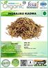 Herboleaf Organic Indrajau Kadwa| Holarrhena Pubescens | Indrajao | Inderjo | Kadwa Inderjo | Inderjav Talkh (100 Gram) view 4