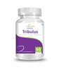 nature's velvet Tribulus Gokshura Pure Extract 500 mg, 60 Veg Capsules - Pack of 1 view 1