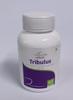 nature's velvet Tribulus Gokshura Pure Extract 500 mg, 60 Veg Capsules - Pack of 1 view 3