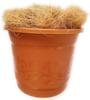 NKS Original Coconut Fibre - 0.5KG (Pack of 3) view 3