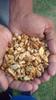 3p Light Broken Kashmiri Walnut Kernels 1 kg |Organic| Natural|Akhrot|Akhrot giri|Wallnut| (250 gm x pack of 4) view 4