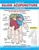 Acs Amazon Atlas Of Sujok Acupressure - Hand Book view 1