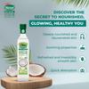KLF Nirmal Cold Pressed Virgin Coconut Oil | 250 ml | Packaged in Glass Bottle | Great for Cooking, Skin Care & Hair Care | Natural & Edible view 2
