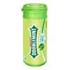 Doublemint Wrigley Chewing Mint-Peppermint, 33.6G view 1