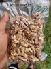 3p Kashmiri Walnut Kernels Without Shell Brown Quarter Fresh Organic Natural Akhrot giri Walnut Dry Fruit 250gm view 3