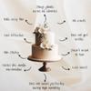 Confect Ivory Fondant for Cakes  8.8 oz Chefs Choice for Cake Decorating, Sculpting & Baking | Vegan, Gluten-Free, Nut-Free, Palm Oil-Free  250 Gms view 4