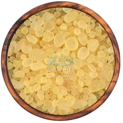Sky Life  Rumi Mastagi - 25 Grm - Pistacia Lenticus - Mastic Gum -  