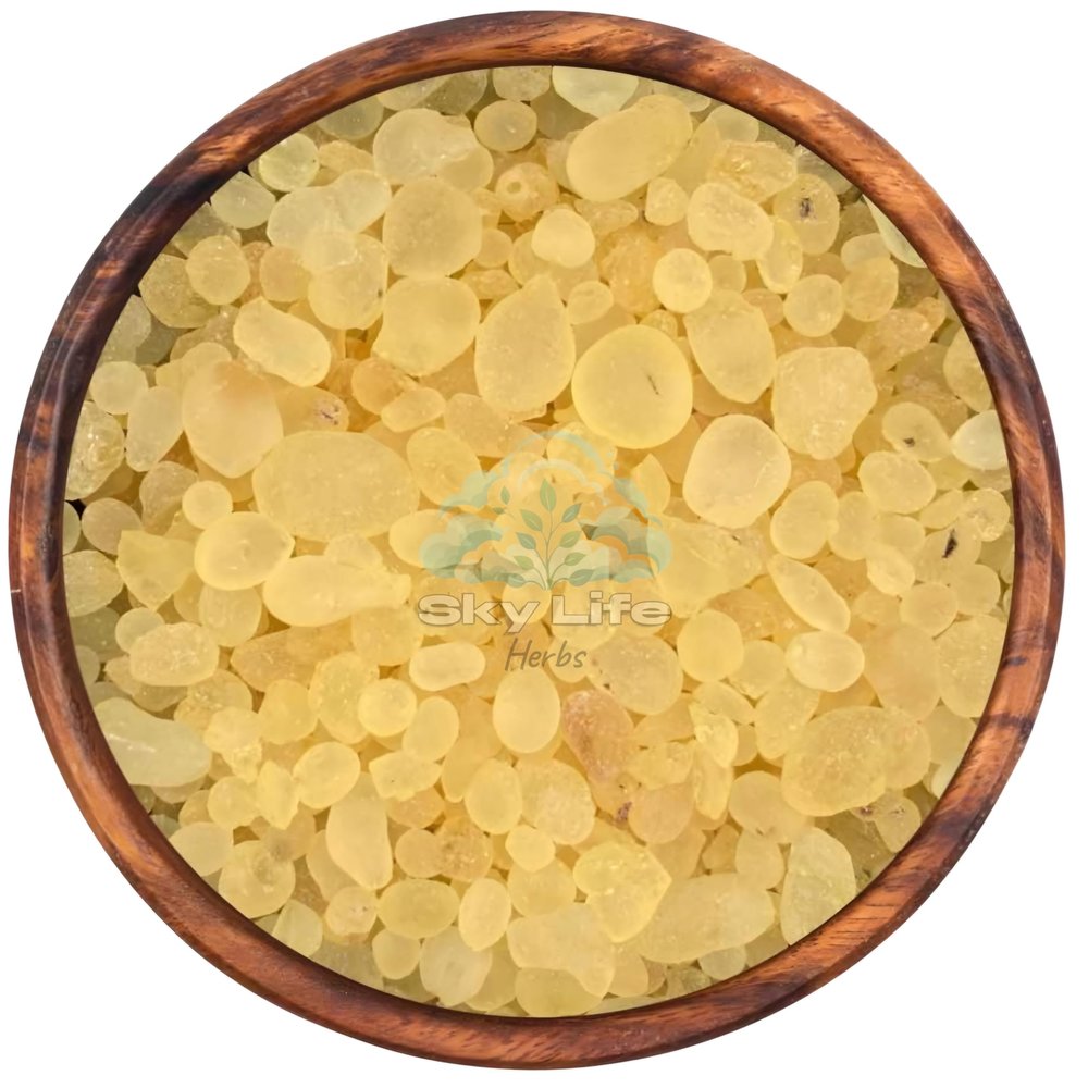 Sky Life Rumi Mastagi - 25 Grm - Pistacia Lenticus - Mastic Gum -
