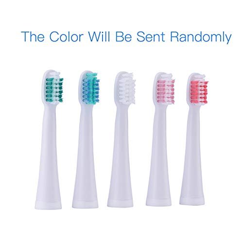 NavaFresh Basics 2Pcs Original Toothbrush Head For A39 A39Plus A1 Sn901 Sn902 U1 Tooth Brush Electric Replacement Teeth Care Oral Hygiene