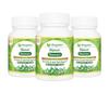 BIJASAR 500 mg, Pack Of 3 (180 Capsules) For Diarrhea & Dysentary, 100% Natural, Ayurveda Herb, Health, Dietary, Herbal, Nutrition Supplements view 1