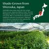 VAHDAM, Vanilla + Matcha Green Tea Powder - 50 g | Brew Delicious Vanilla Latte | Japanese Matcha Powder with 100% Natural view 4