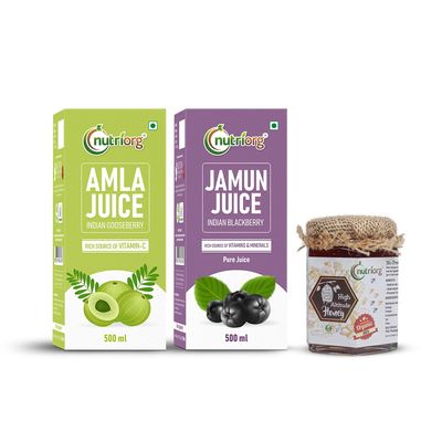 Nutriorg Amla & Jamun Juice With Certfied Organic High Altitude Honey 250g(Combo Of 3)