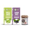 Nutriorg Amla & Jamun Juice With Certfied Organic High Altitude Honey 250g(Combo Of 3) view 1