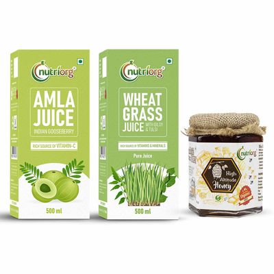 Nutriorg Amla, Wheat Grass Juice & Certified Organic High Altitude Honey 250g (Combo Of 3)