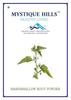 Mystique Hills Organic Marshmallow Root Powder 50 g view 1