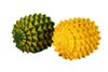 R A Products Health and Yoga Spongy Reflex for Stress Relieving Spikes Makes Sensory Stimulation Complete Body Massage Ball Sports Rubber Massage Balls for Plantar (BW-MassFin-Brac) view 2