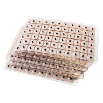 Acupressure India Vaccaria Ear Seeds 600 counts Refill Pack