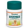 NEFROTEC DS Vet Tablets - Pack of 2 view 1