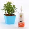 Pai Organics Anti Mosquito Spray, Certified Organic with Herbal extracts. (300 ML) view 3