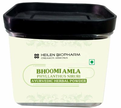 Heilen Biopharm Bhoomi Amla Powder For Health Improvement - 200 g Pack of 1