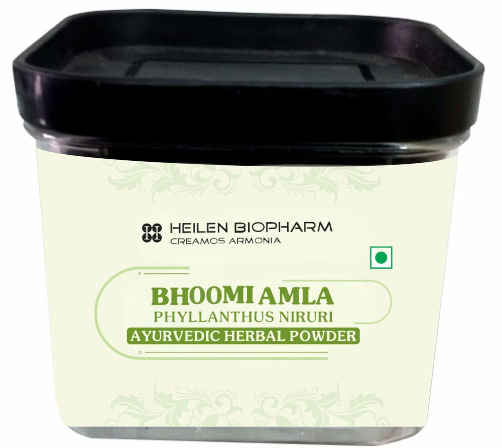 Heilen Biopharm Bhoomi Amla Powder For Health Improvement - 200 g Pack of 1