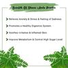 Heilen Biopharm Bhoomi Amla Powder For Health Improvement - 200 g Pack of 1 view 4