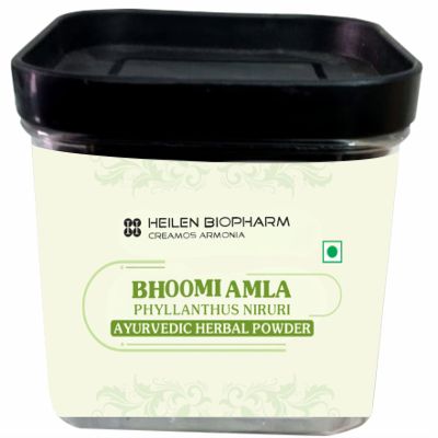 Heilen Biopharm Bhoomi Amla Powder For Health Improvement - 100 g Pack of 1