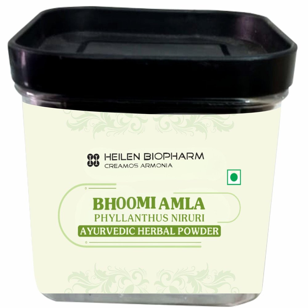Heilen Biopharm Bhoomi Amla Powder For Health Improvement - 100 g Pack of 1