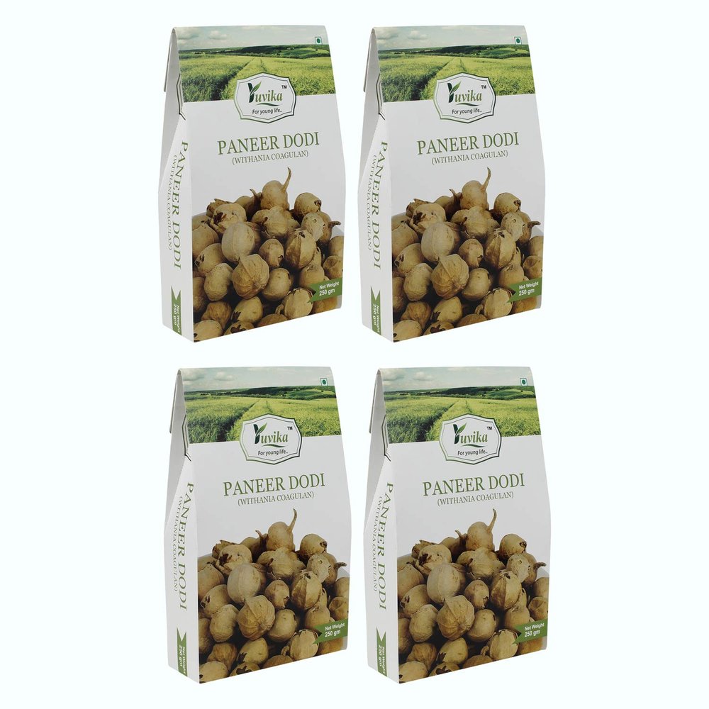 Yuvika Paneer Dodi - Paneer Ke Phool - Withania Coagulan 250 Grams (Pack of 4 Boxes)