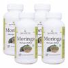Ayurvedic Life Moringa 120 Tablets - Pack of 4, grey, 480 Count view 1