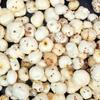 More Pulses - Makhana, 250g (Loose) view 2