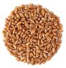 Thanjai Natural's Vermicelli Pantry 1000g Made in Wheat Millet Vermicelli 100% Natural (200g X 5) view 4
